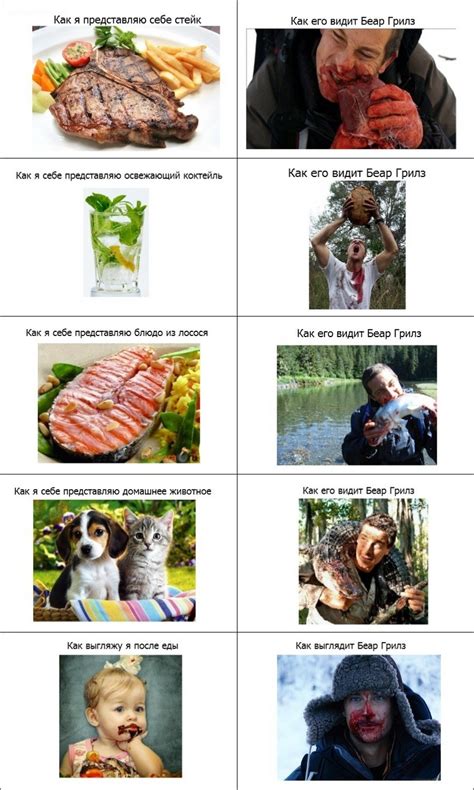 ﻿Как я представляю себе стейк Как его видит Беар Грилз Как я себе ...