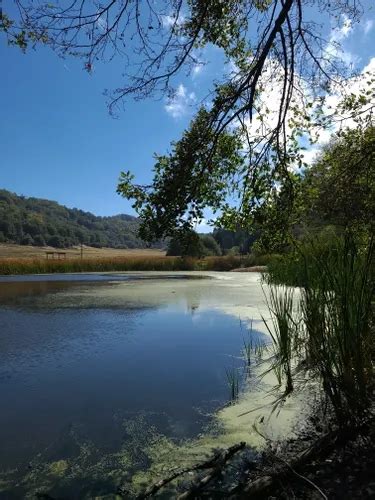 10 Best Hikes And Trails In Palomar Mountain State Park Alltrails