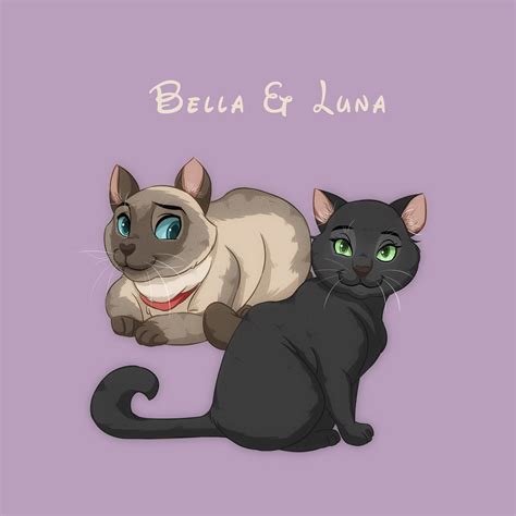 How To Draw Disney Style Cats
