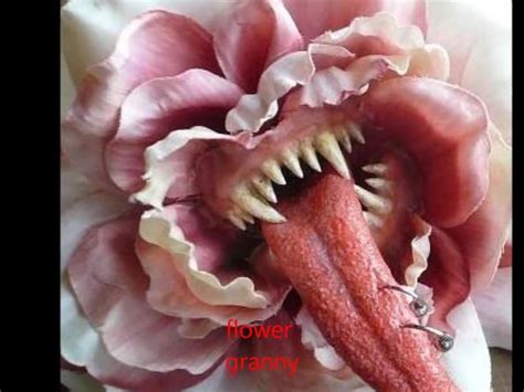 Flower Granny By Satyriasiss MILF MILF Porn XHamster