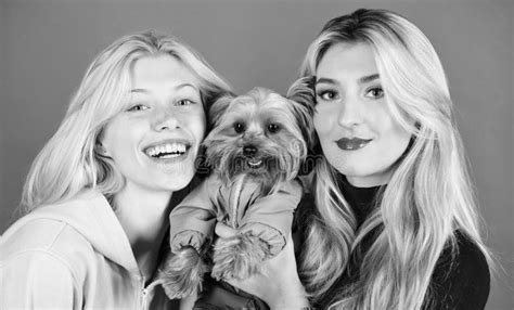 Blonde M Dchen Verehren Wenig Netten Hund Frauen Umarmen Yorkshire Terrier Yorkshire Terrier Ist