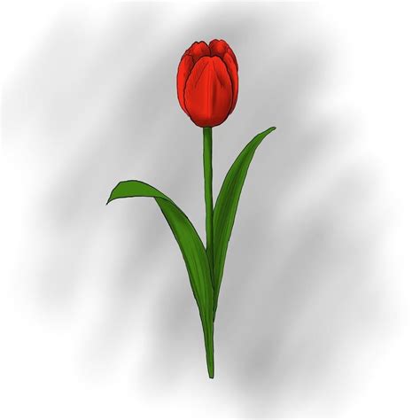 Рисунки тюльпанов для детей