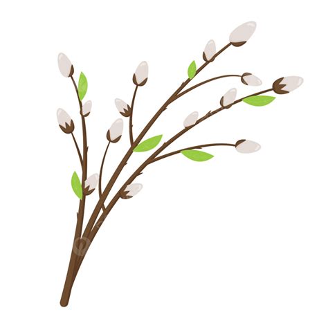 Willow Branches Pussy Tree Easter Easter Plant Bud PNG And Vector With Transparent Background