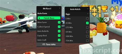 Ski Race Auto Win Auto Rebirth Auto Hatch Scripts Rbxscript