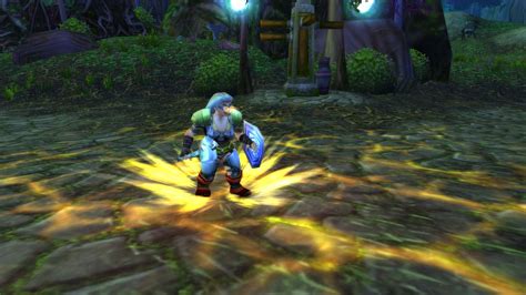 Protection Paladin Tank Guide & Best Runes - Phase 4 Season of ...