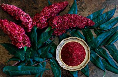 Специя сумах: что это такое, каково применение и польза для здоровья