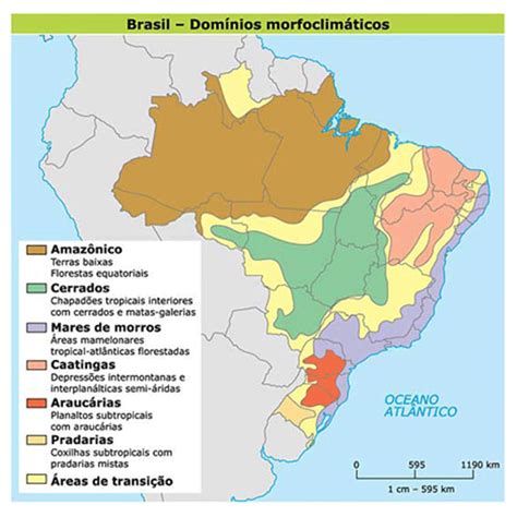 O Que São Domínios Morfoclimáticos - Domínios morfoclimáticos do Brasil - Classificação do território brasileiro