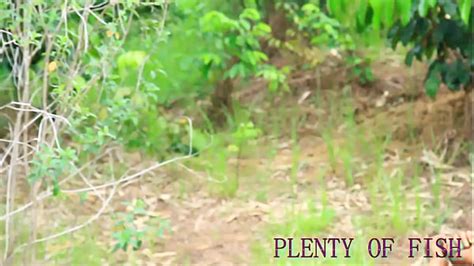 Trending Sex Videos Xvideos