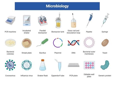What Is Microbiology? History, Scopes & Applications 2025