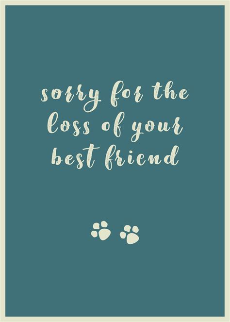 Card Pet Sympathy 17 customizable card template | Shutterstock