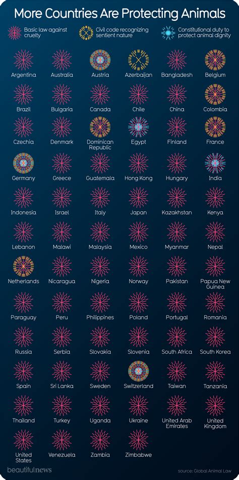 More Countries Are Protecting Animals — Beautiful News