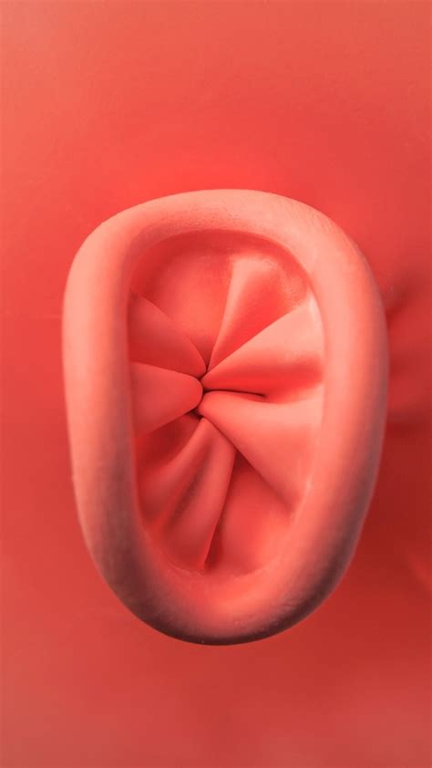 Plicoma Anal Dra Poliana Testa