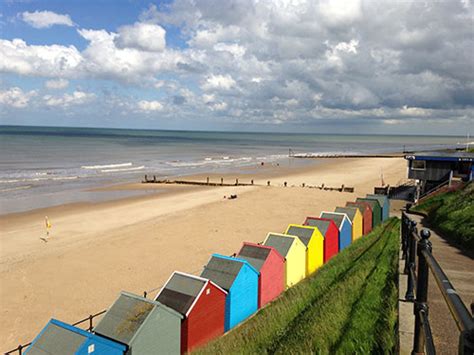 Are Norfolk Beaches Safe For Dogs