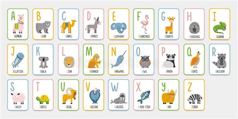 Alphabet Cartes éclair Avec Des Animaux Pour L apprentissage