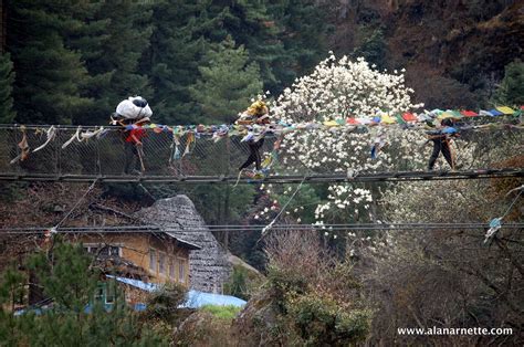 Everest 2017: Climbers on the Move | The Blog on alanarnette.com