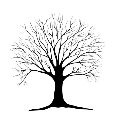 Black Branch Tree Or Naked Trees Silhouettes Hand Drawn Isolated Illustrations Vector