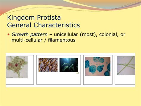 PPT - Kingdom (?) Protista General Characteristics PowerPoint ...