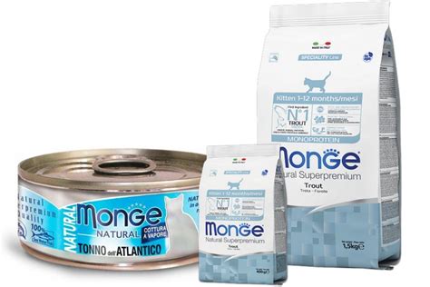 ТОП-10 лучших кормов для кошек премиум-класса: особенности, состав ...