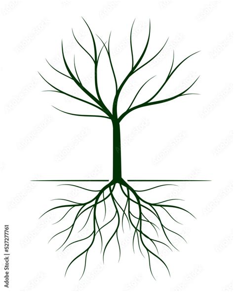 Green Tree With Roots Vector Outline Illustration Stock Vector