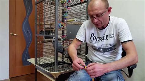 Попугай жако Сёма. Шлейка и поводок для жако. - YouTube