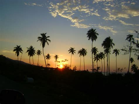 Atardecer Con Palmeras Imagui
