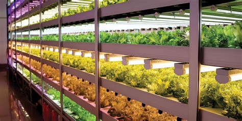 croptracker vertical farming growing