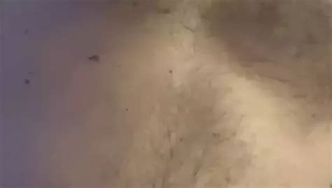 Ally Gay Porn Creator Videos Free Amateur Nudes Xhamster