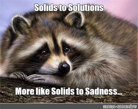 meme solids  solutions   solids  sadness