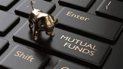 Top Mutual Funds These 10 Small Cap Funds Delivered The Best Return In