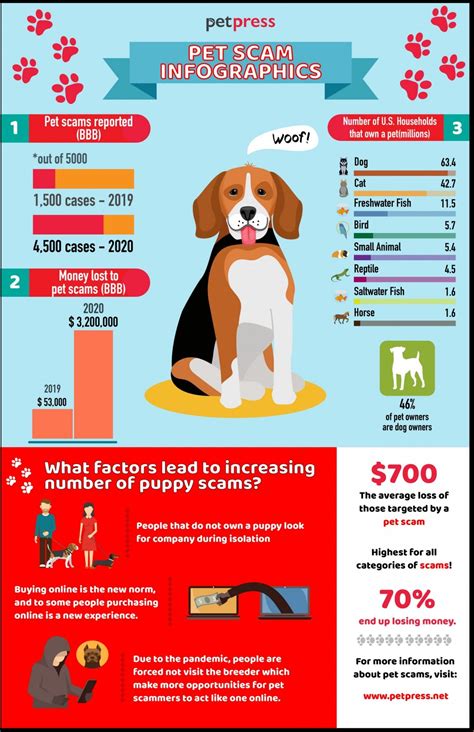 Families are warning against scams when you buy puppy near me 22