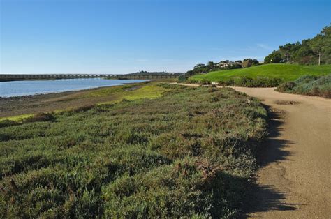 An influential campaign | WTM Global Hub 