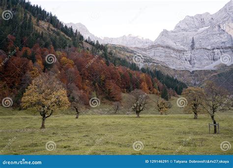 Red Polka Dot Bikini Stock Image Image Of Mountain