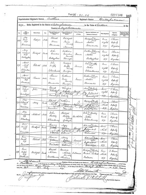 19th century - What is written over some of these Irish birth records