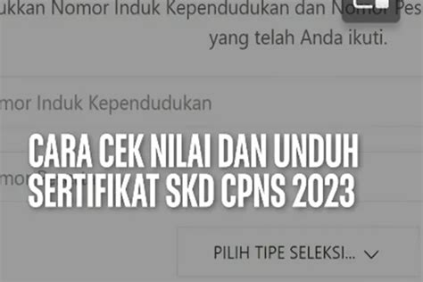 Tes Skd Cpns 2023 Dimulai Begini Cara Cek Nilai Skd Cpns Dan Jadwal