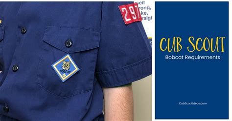 Cub Scout Bobcat Badge Placement Lattearttutorialvideostips