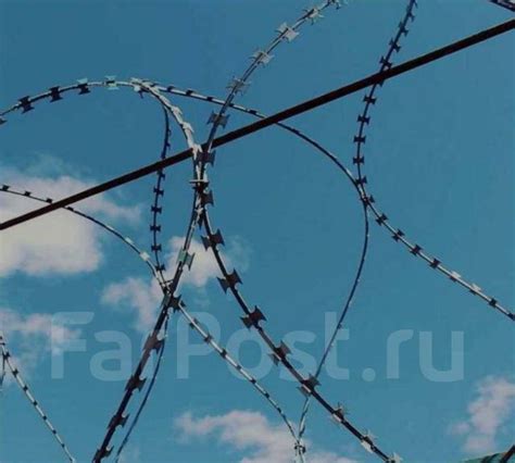 Колючая проволока, в наличии. Цена: 700₽ во Владивостоке