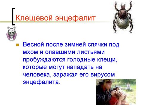 Осторожно, клещи - презентация онлайн
