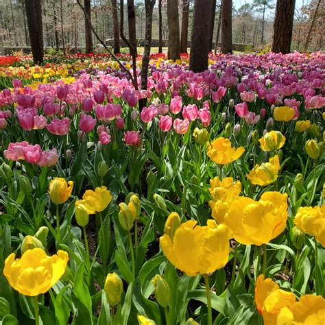 Nathan R Scott leadership is transforming the local company 36