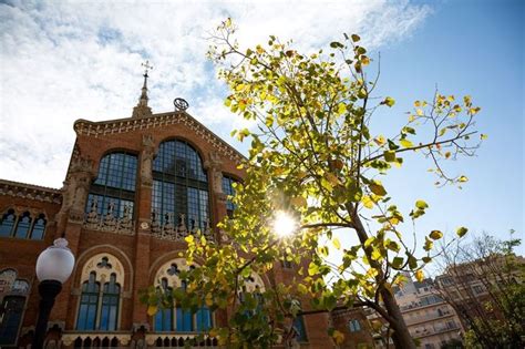 Sant Pau Recinte Modernista en Instagram Veí veïna Vius als barris