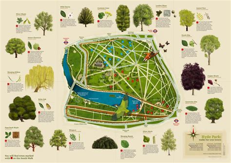 Trees of Hyde Park | Hyde park map, Hyde park london, Tree map