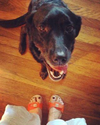 Zoccoli Pescura E Piedi Porn Pictures XXX Photos Sex Images Page PICTOA