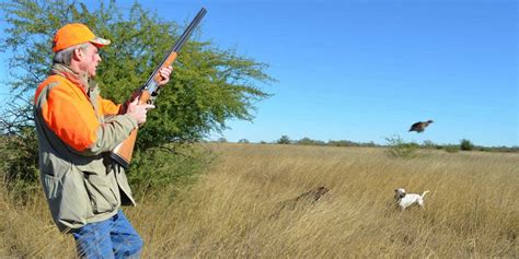 Scaled Quail Hunting - Texas Quail Hunting