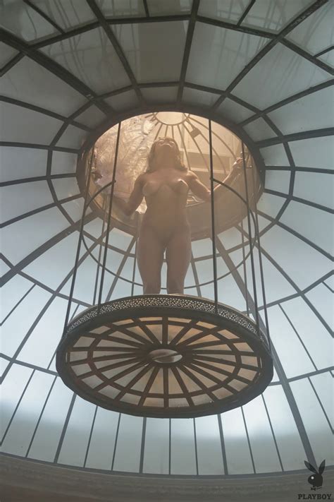 BRUTAL 8 Brutal 07182 Porn Pic