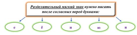 Мягкий знак: правописание, определение, примеры