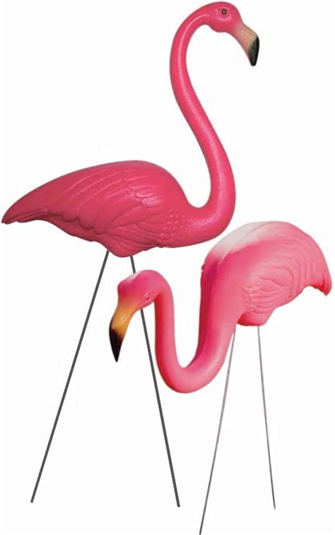 Pink Flamingo Party Celebrate National Pink Flamingo Day