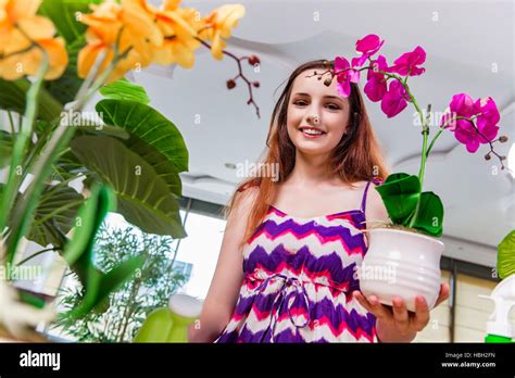 Young Woman Taking Care Of Home Plants Stock Photo Alamy