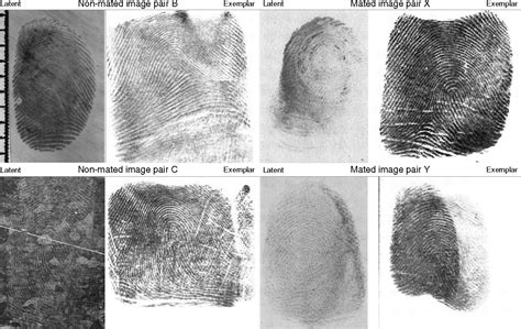 Accuracy and reliability of forensic latent fingerprint decisions | PNAS