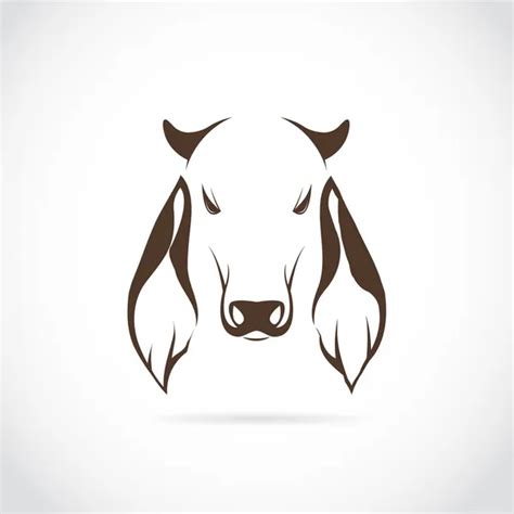 Brahman Bull Vector Art Stock Images Depositphotos