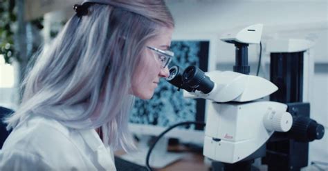 Westlake Corporation Mission, Benefits, and Work Culture | Indeed.com