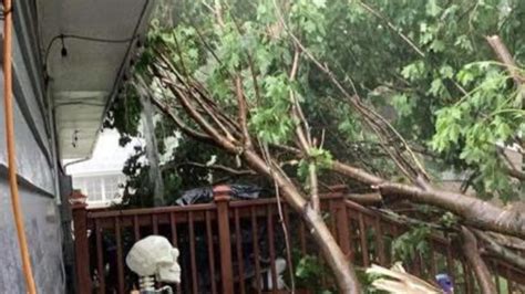 Armed Man Taken Into Custody After Escaping The Minnesota Sex Offender